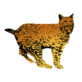 blacow logo - bobcat