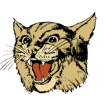 glenmoor logo - wildcat