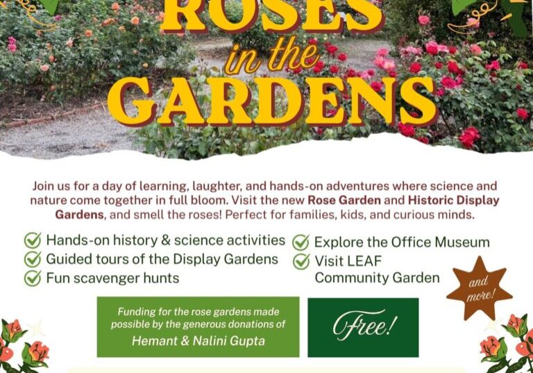 inline_images_67aec961158ec139_1779221144500-RosesintheGardensFlyer