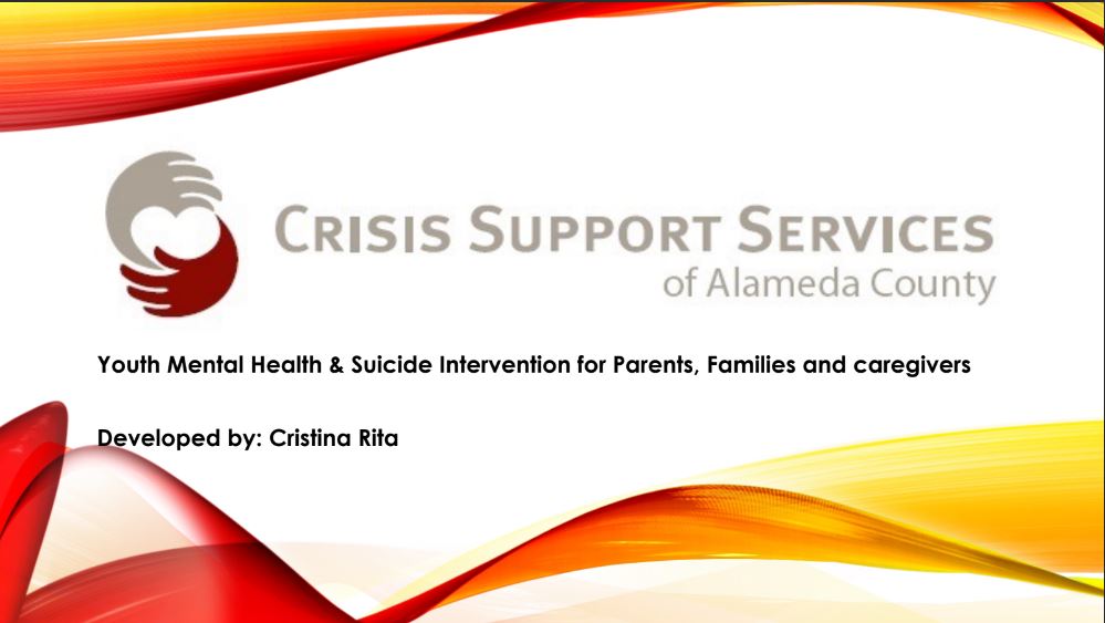 crisis support