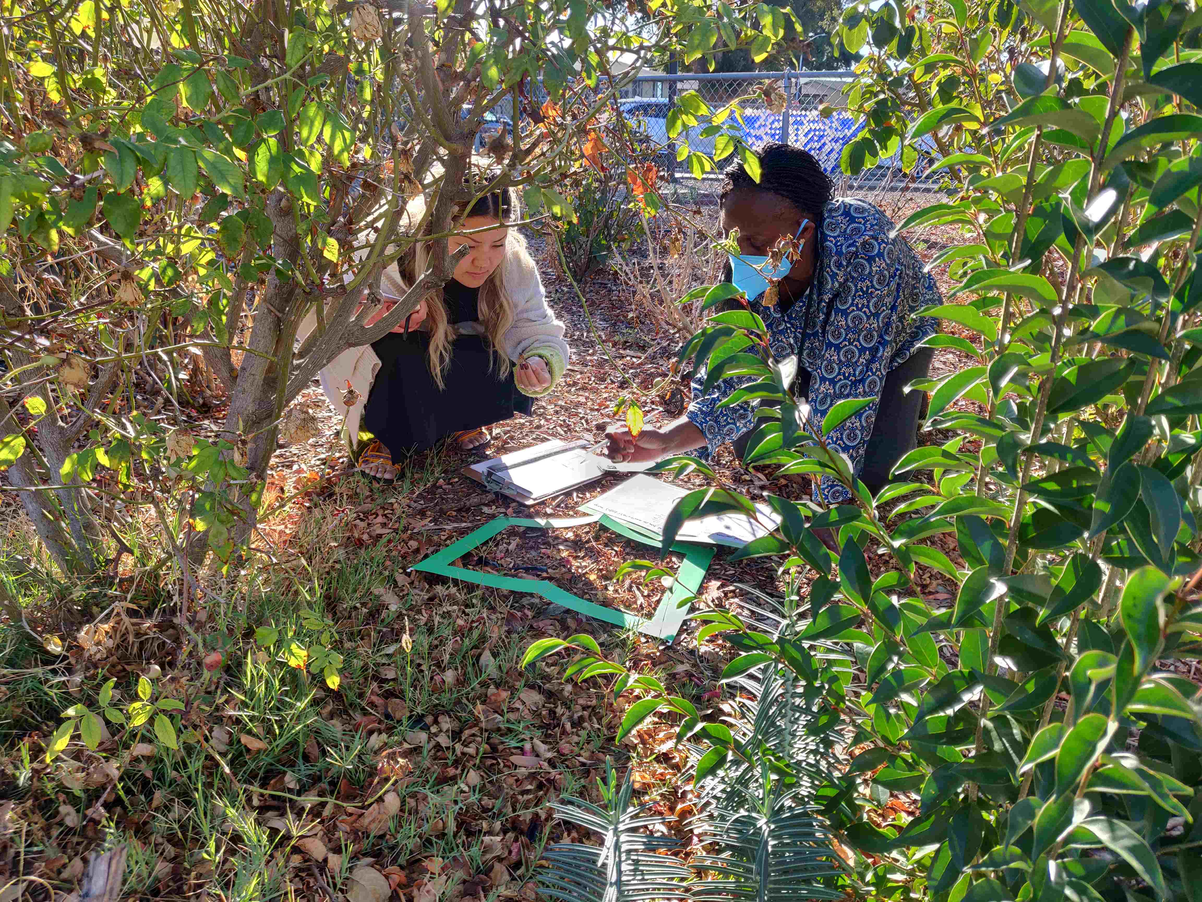 teachers looking at outdoor ground sample