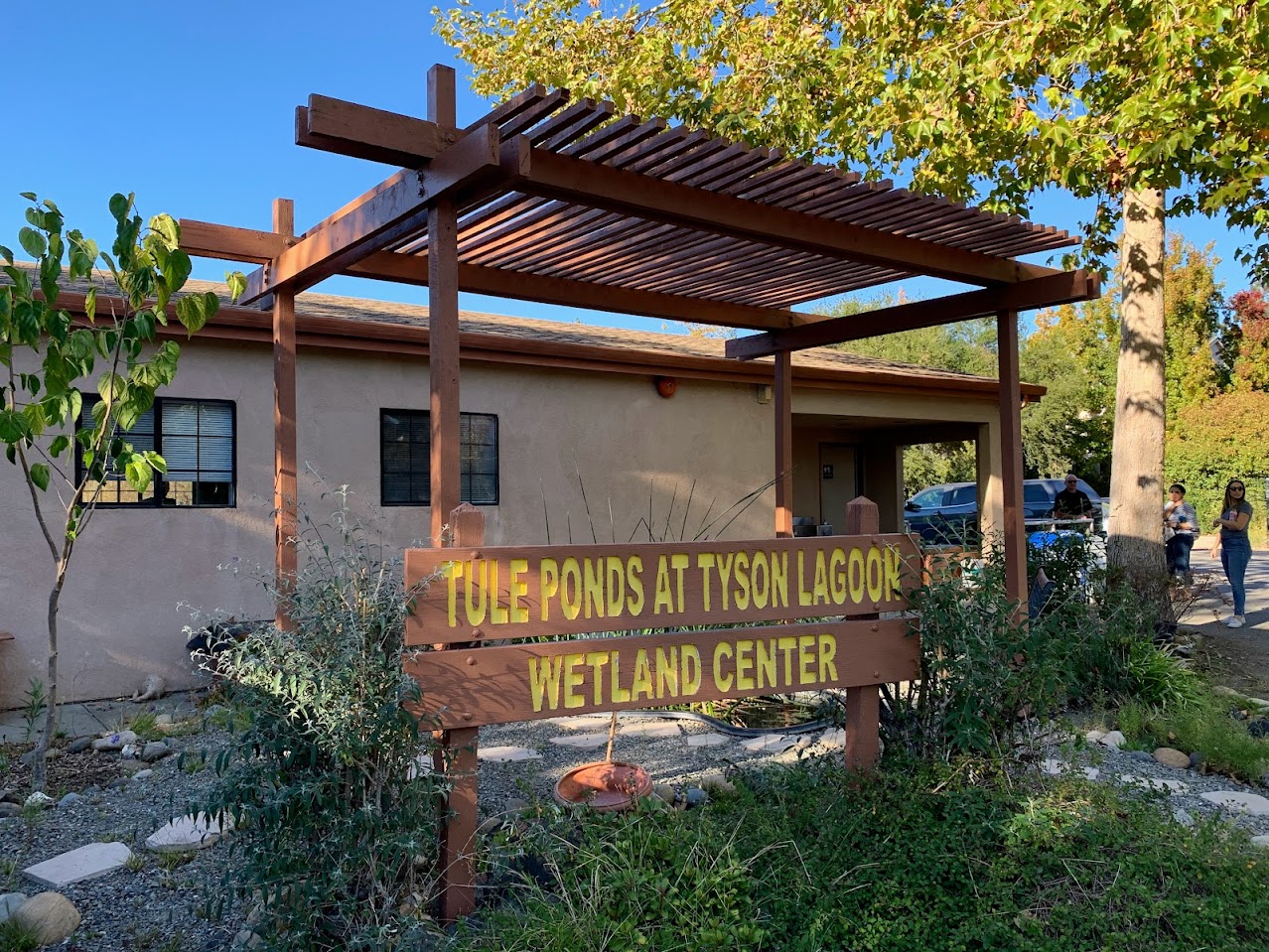 Tule Ponds at Tyson's Lagoon