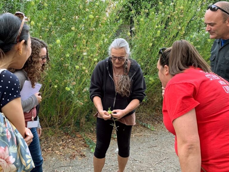 photo of people observing seed pods outdoors