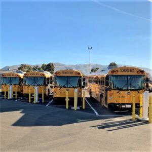 row of electric buses with chargers
