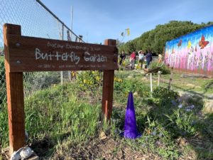 garden with sign: Blacow Elementary School Butterfly Garden