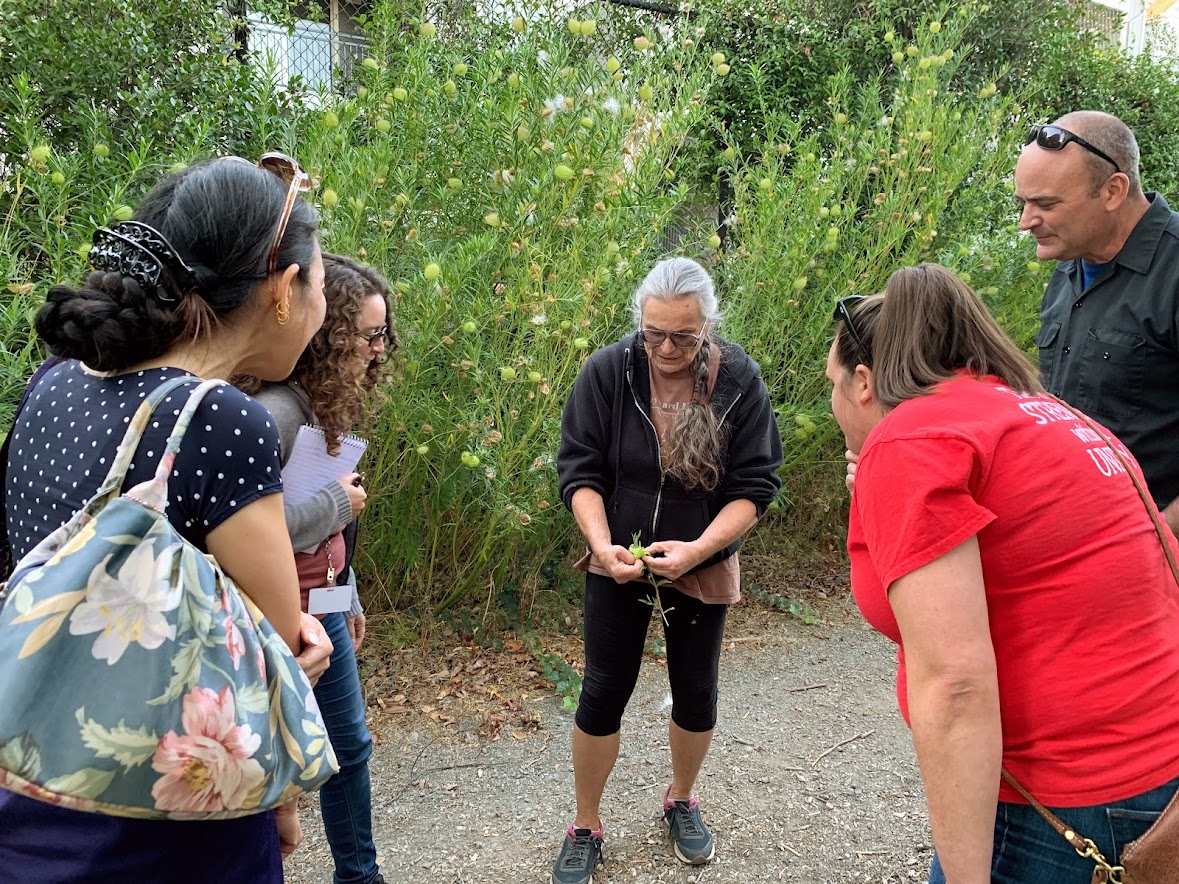 adults outdoors circled around to look at seed pod