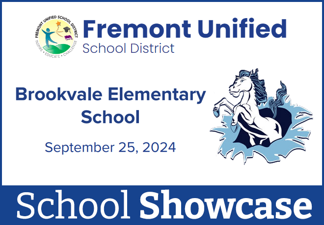 Brookvale School Spotlight