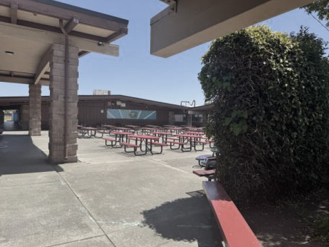 Mattos Shade Structure Before