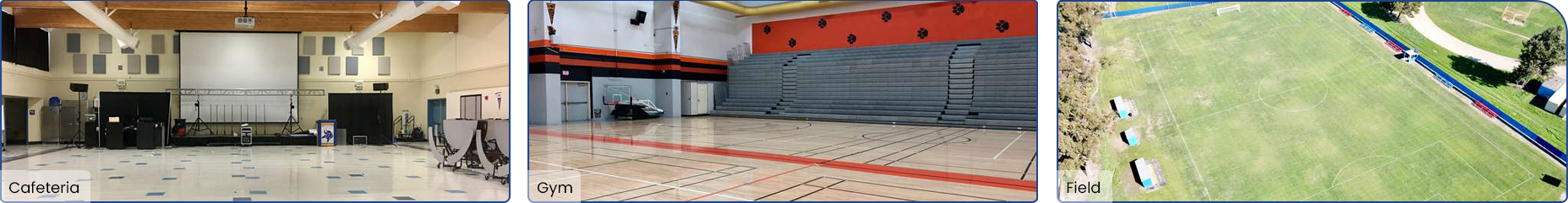 cafeteria, gym, field
