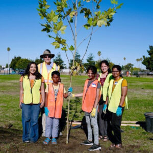 Azaveda kids planting trees