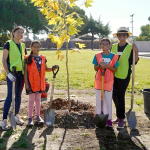 Azaveda kids planting trees
