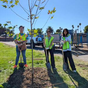 Azaveda kids planting trees